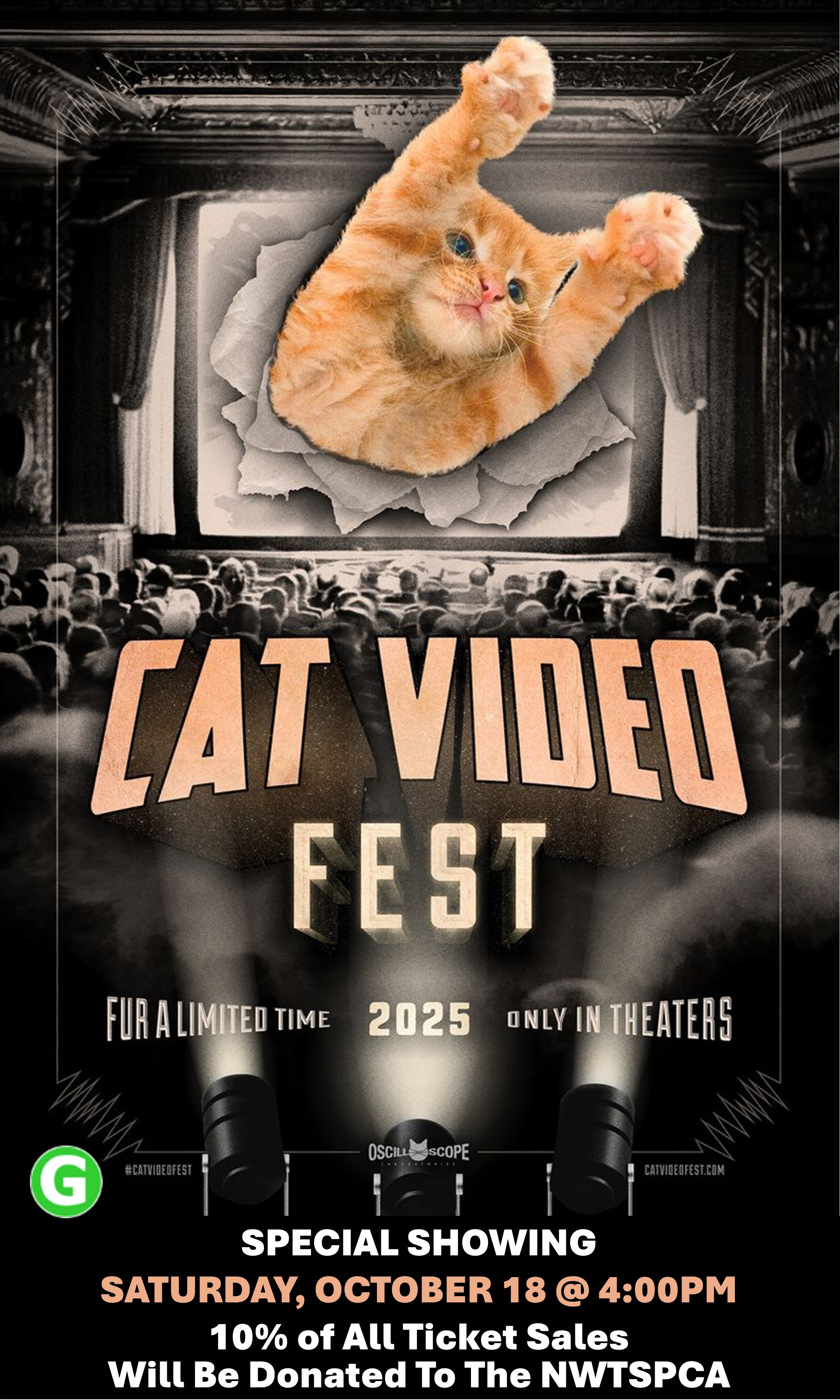 CatVideoFest 2025 Poster